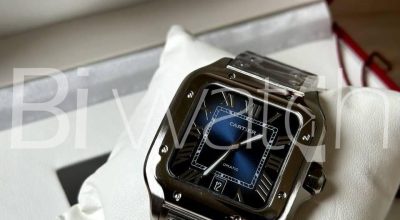 biwatch-main