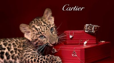cartier-main