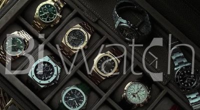 main-biwatch